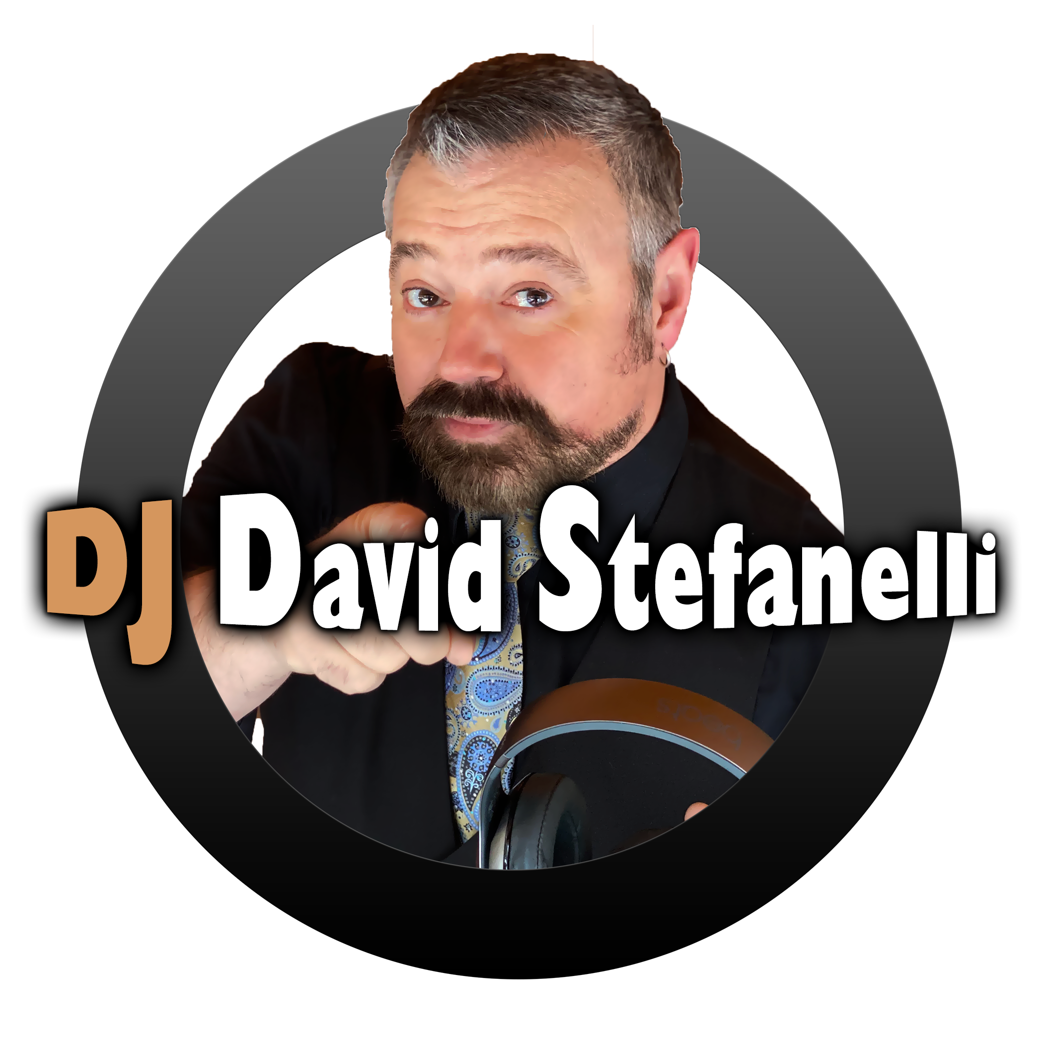 Wedding DJ David Stefanelli.